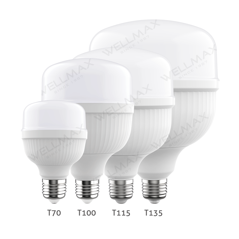 Wellmax LED T Bulb, Ballet Series, 30W